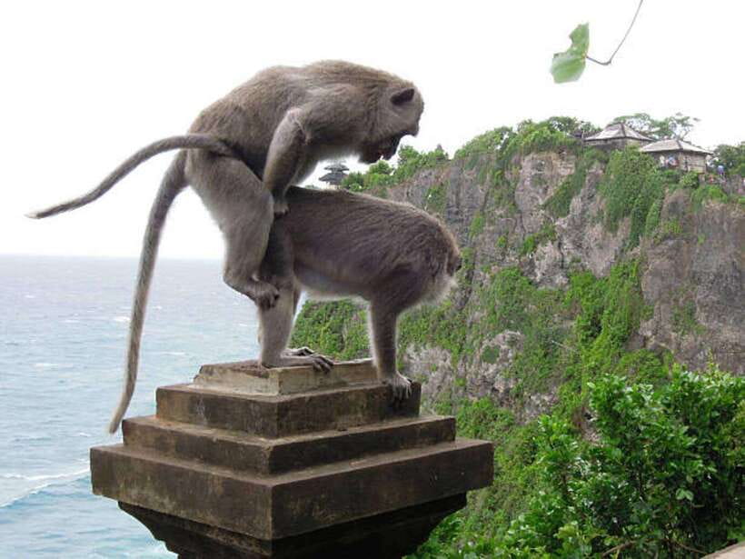 Bali: Customizable Beach Day Tour with Hotel Pickup - Pick Your Day: Option A, Option B, Option C, or Half-Day