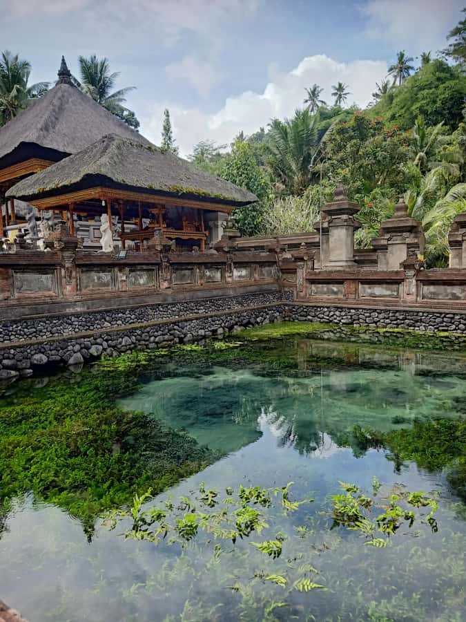 Bali: Customize Private Day Tour with Driver-Guide - A private Bali day built around your pace, not a fixed schedule