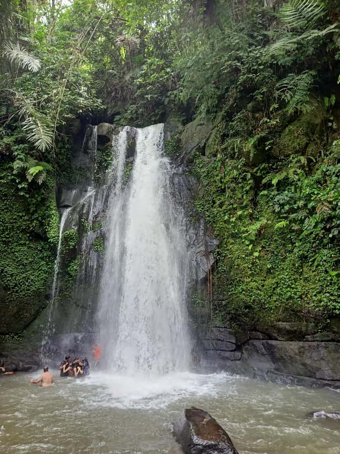Bali: Customize Private Day Tour with Driver-Guide - Rice terraces, Tirta Gangga, and Tirta Empul: scenic days that still feel organized