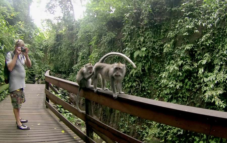 Bali: Customize Your Own Private Guided Tour in Bali - Key things I’d plan for on this Bali private tour