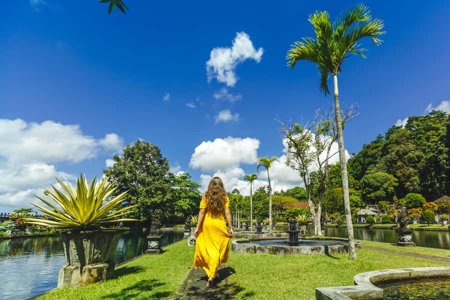 Bali: Customize Your Own Private Guided Tour in Bali - Price and value: why $42 can still be a good deal