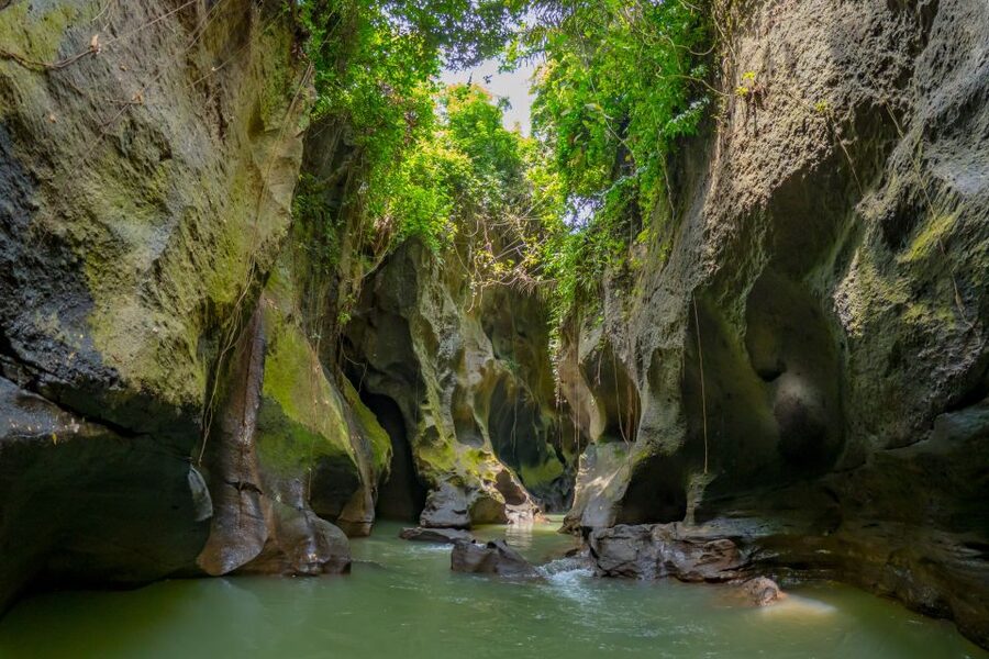 Bali: Customize Your Own Private Guided Tour in Bali - Nusa Penida: customize East or West and build your island day