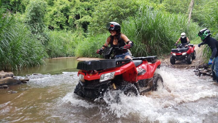 Bali: Customized Private Car Charter with Optional Guide - Who should book this Bali private car charter
