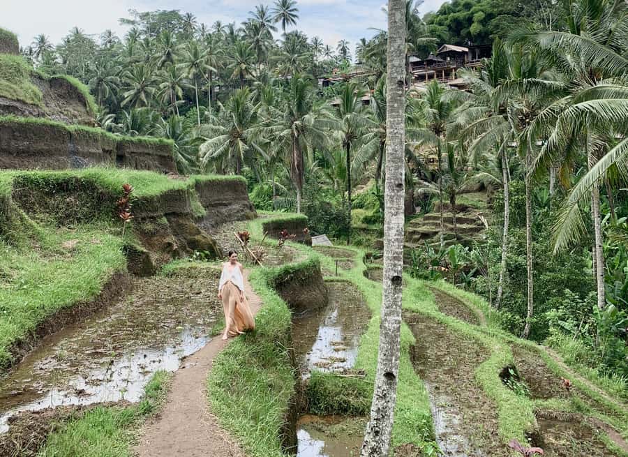 Bali: Customized Private Tour with a Female Guide - Who This Tour Suits Best, and Who Should Skip It
