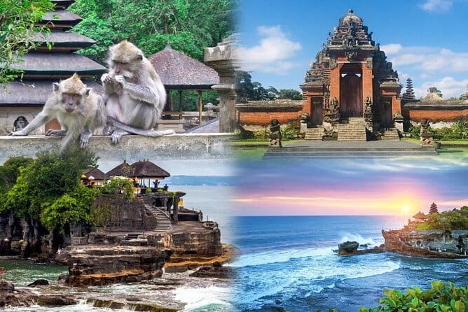 Bali Day Trip: Bali Instagram Tour (All Inclusive & Private) - Bali Swing and Bird Nest: adrenaline with the tickets included