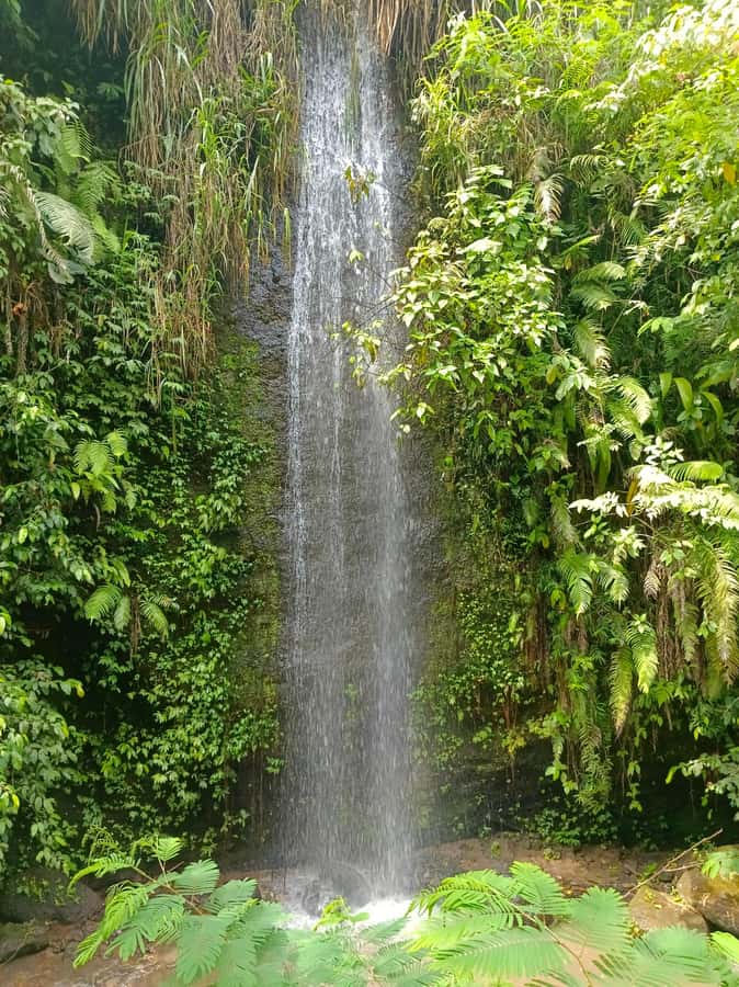 Bali : Day Trip to Besakih Temple & 2 Hidden Waterfalls - Waterfall gates, entry fees, and how to protect your schedule