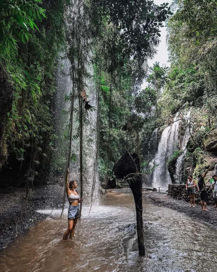 Bali : Day Trip to Besakih Temple & 2 Hidden Waterfalls - Price and value: what $40 covers in a private East Bali day