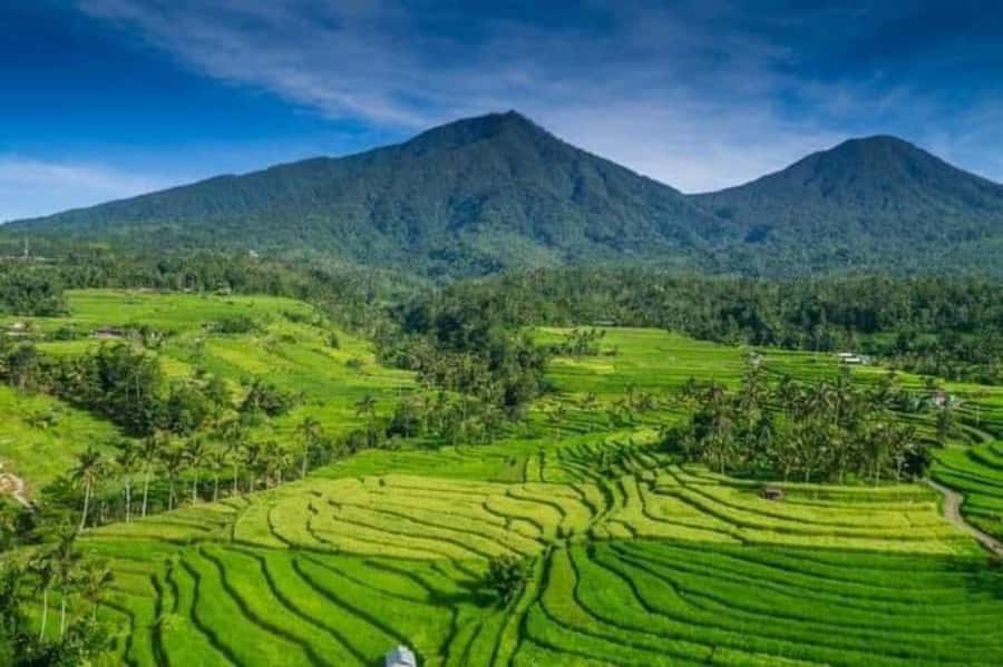 Bali : Design Your Customize Trip with Private Driver - Key things that make this private Bali day work