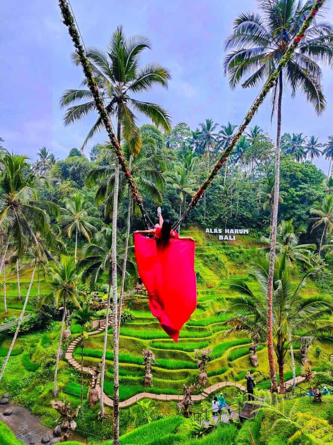Bali : Design Your Customize Trip with Private Driver - Why a private driver beats the usual Bali schedule