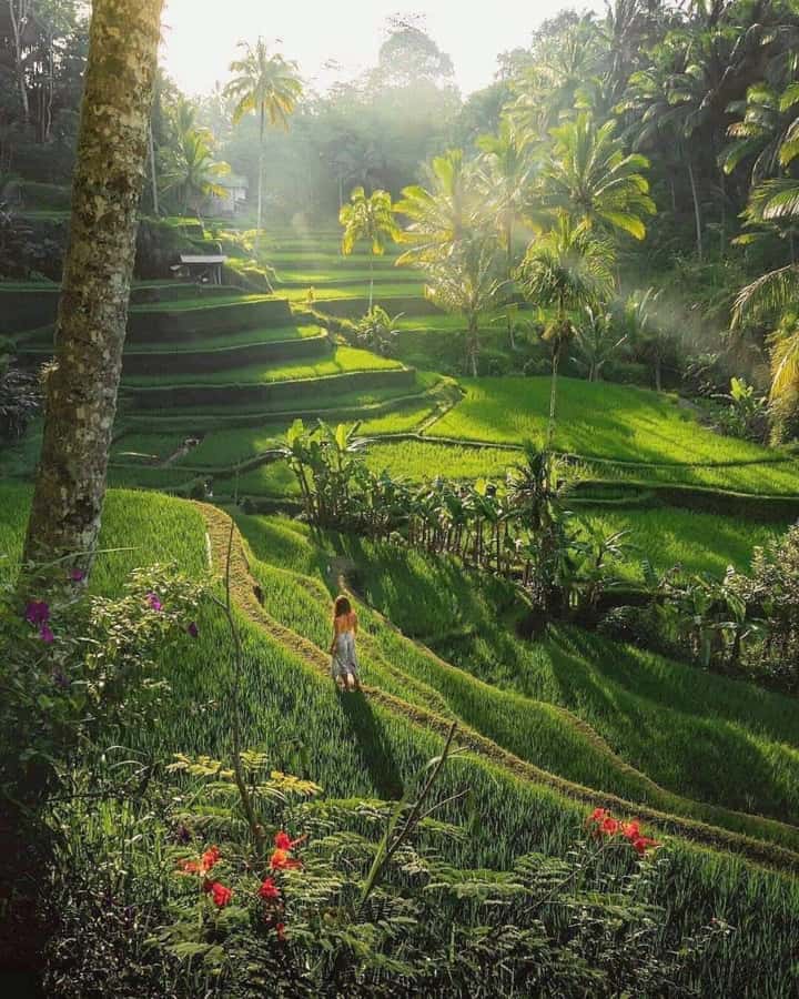 Bali : Design Your Customize Trip with Private Driver - East Bali icons you can tailor: Lempuyang, Tirta Gangga, Tukad Cepung