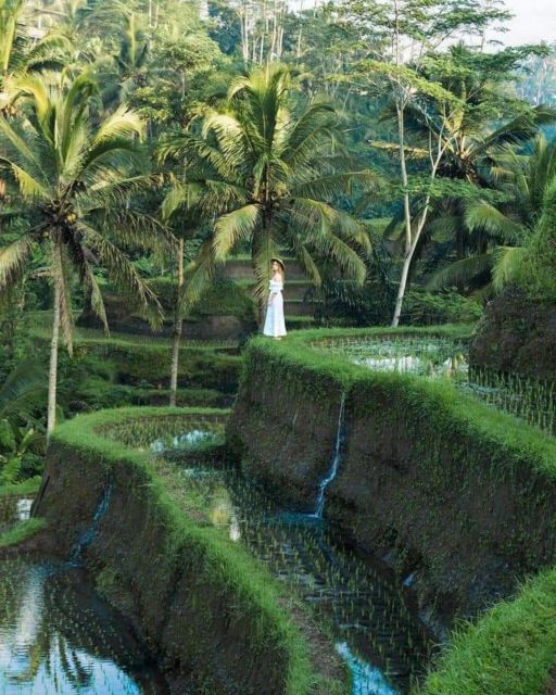 Bali : Design Your Customize Trip with Private Driver - Ubud culture and village life: dance, temples, markets, and rice views