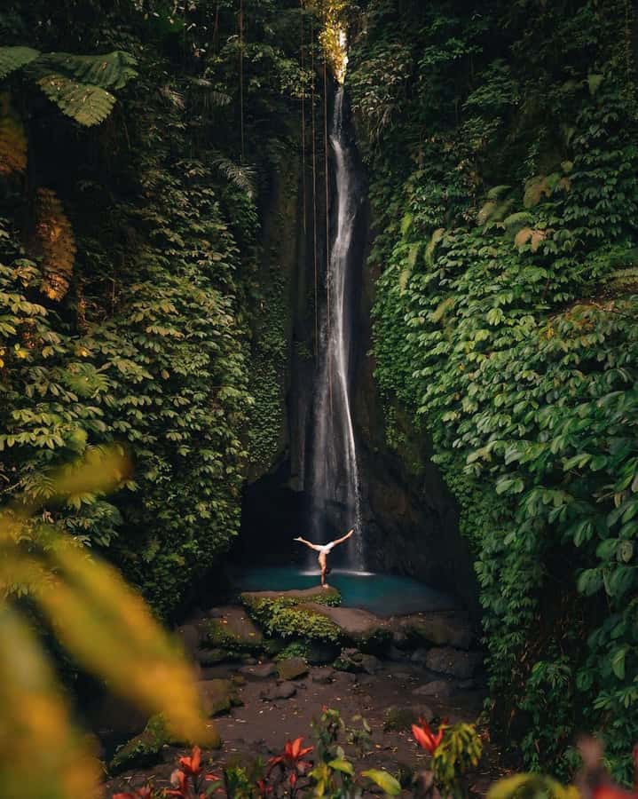 Bali: Discover Jungle Waterfalls and Rice Terraces - Key Highlights Worth Planning For