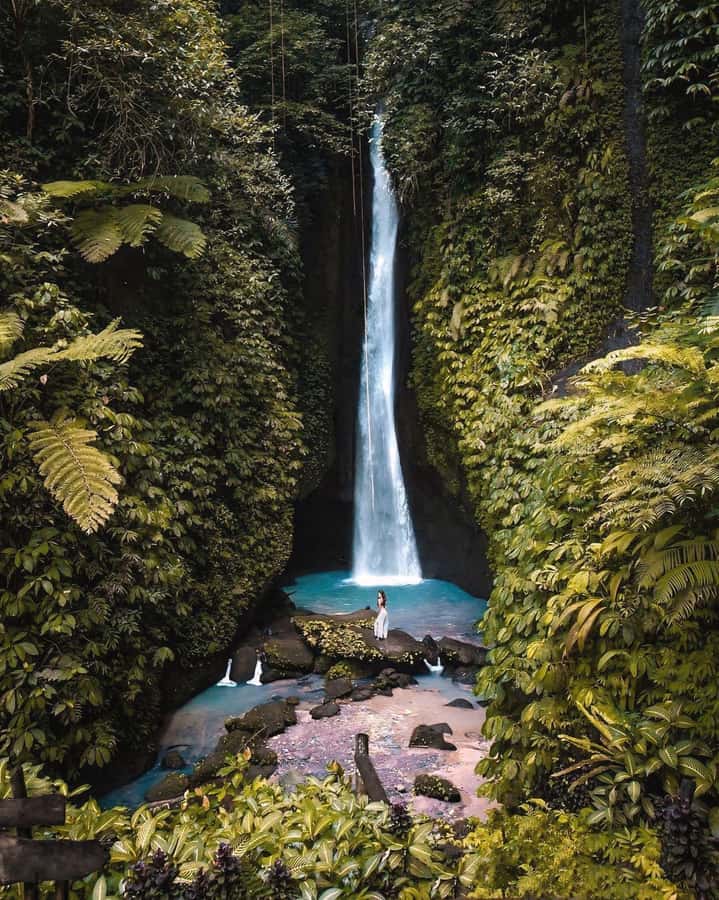 Bali: Discover Jungle Waterfalls and Rice Terraces - A Private Waterfall and Rice Terrace Day That Actually Feels Unhurried