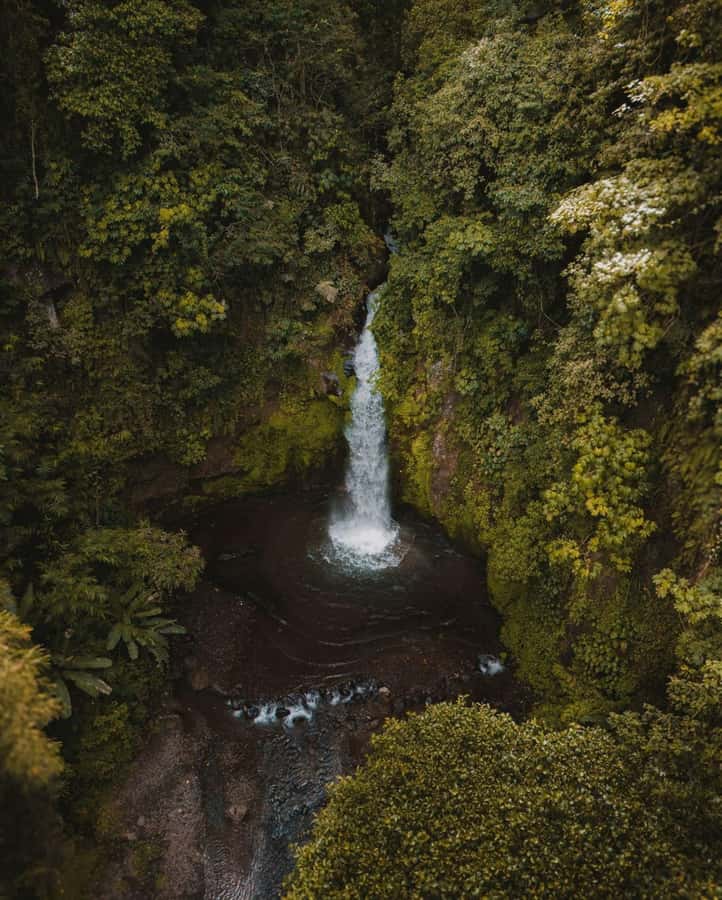 Bali: Discover Jungle Waterfalls and Rice Terraces - Goa Gong and Its Cave-Like Water Sound