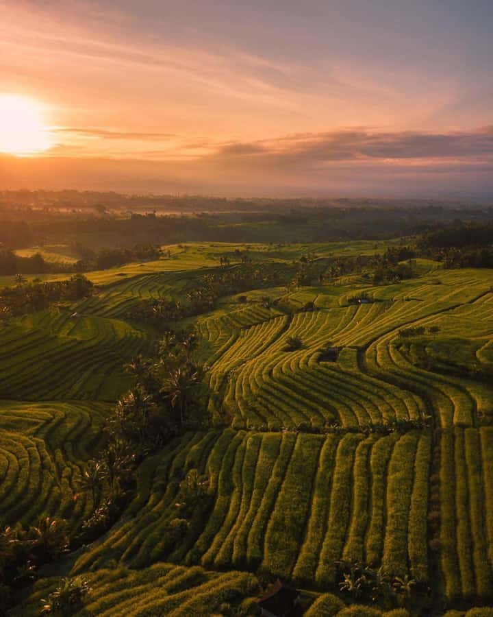 Bali: Discover Jungle Waterfalls and Rice Terraces - Leke Leke, a Narrow Stream for Slower Photos