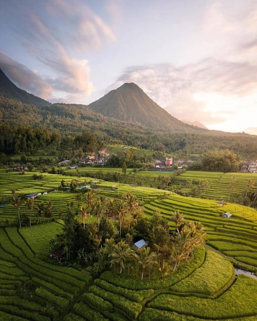 Bali: Discover Jungle Waterfalls and Rice Terraces - Jatiluwih Rice Terraces and the Farming Story Behind the Views