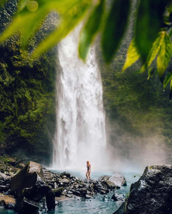 Bali: Discover Jungle Waterfalls and Rice Terraces - Price and Value: Why $35 Can Be a Good Deal Here