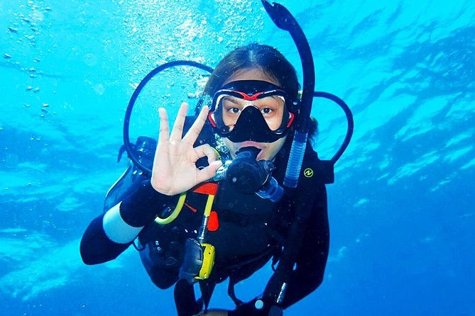Bali Diving for Beginners: Tulamben Liberty Wreck - Coral Garden (or Drop Off): your first wildlife and buoyancy practice