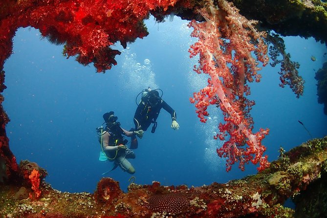 Bali Diving for Beginners: Tulamben Liberty Wreck - USS Liberty Wreck: what you should expect to see (and how to handle it)