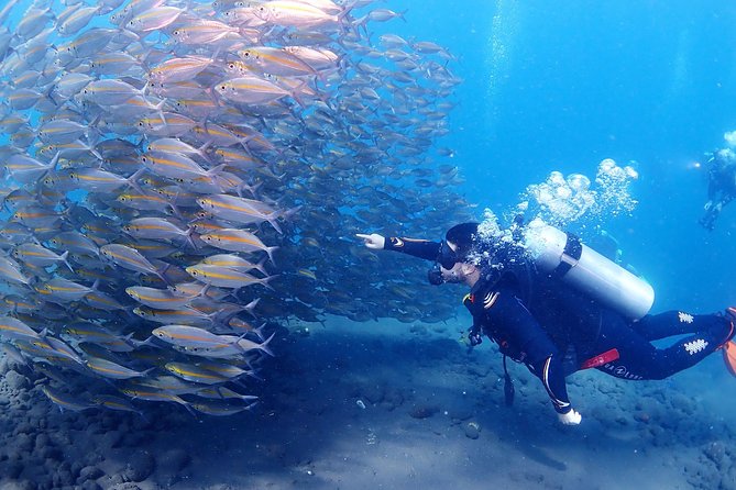 Bali Diving for Beginners: Tulamben Liberty Wreck - Transfers, lunch, and included perks that actually add value