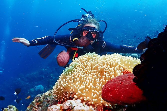Bali Diving for Beginners: Tulamben Liberty Wreck - Who should book, and who should skip this scuba session