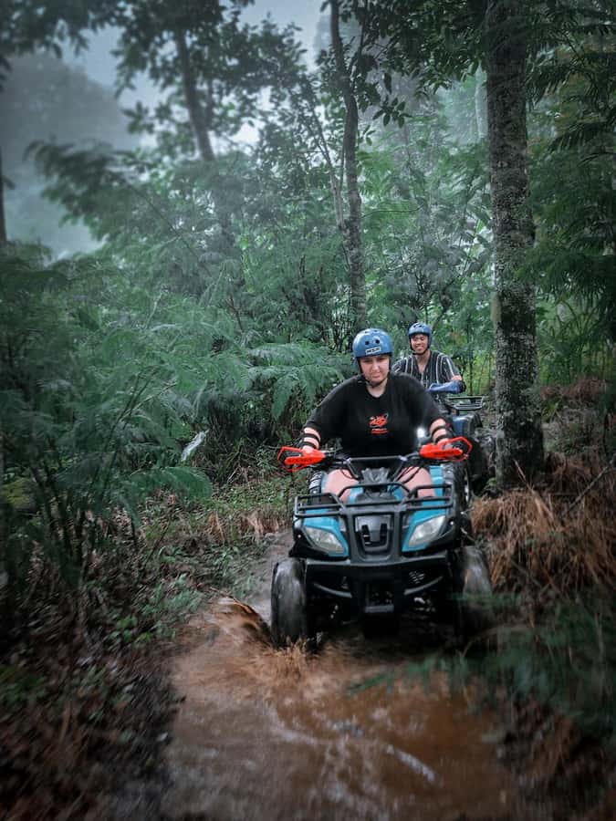 Bali: Dolphin Swimming Tour with ATV Quad Bike & Waterfall - Hydrangea Garden and Banyumala Twin Waterfall: Nature That Feels Real
