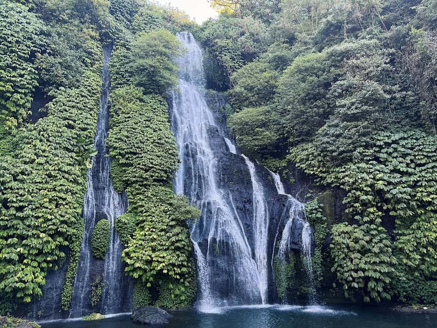 Bali: Dolphin Swimming Tour with ATV Quad Bike & Waterfall - Price and Value at About $81: What You Really Get