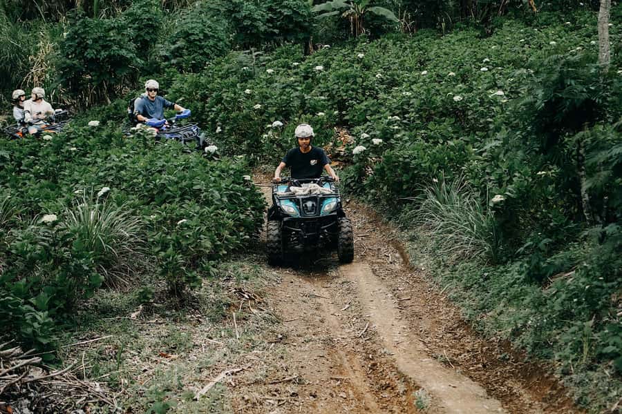 Bali: Dolphin Swimming Tour with ATV Quad Bike & Waterfall - How the Day Actually Flows: Timing, Transfers, and Energy Management
