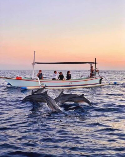 Dolphin Watching, Snorkeling, and Munduk Day Tour