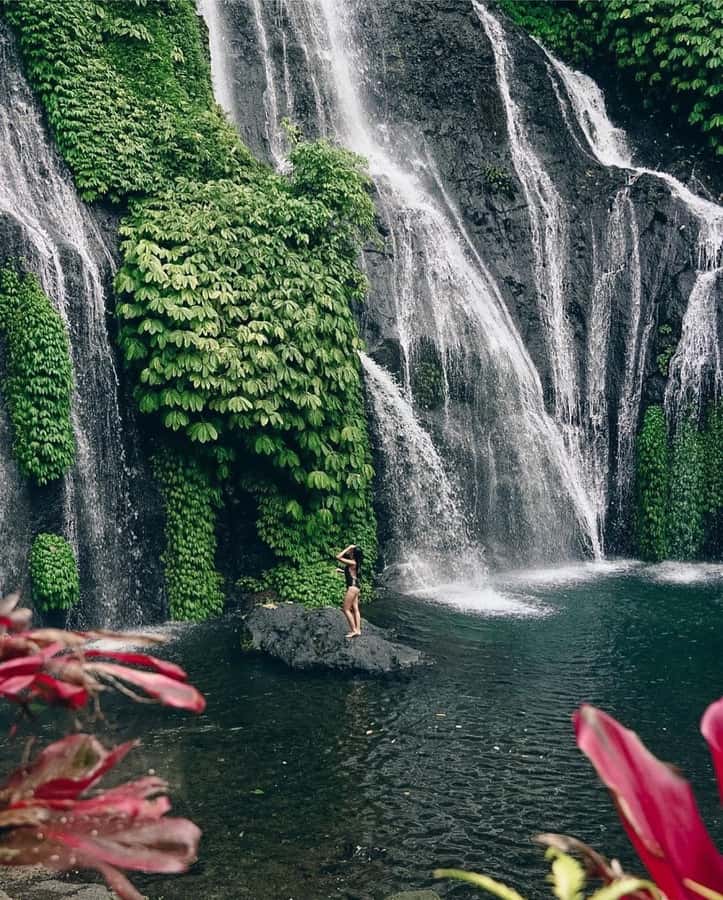 Bali: Dolphin Watching, Snorkeling, and Munduk Day Tour - Price and Value: Why $85 Can Work When It Includes Transport and Guides