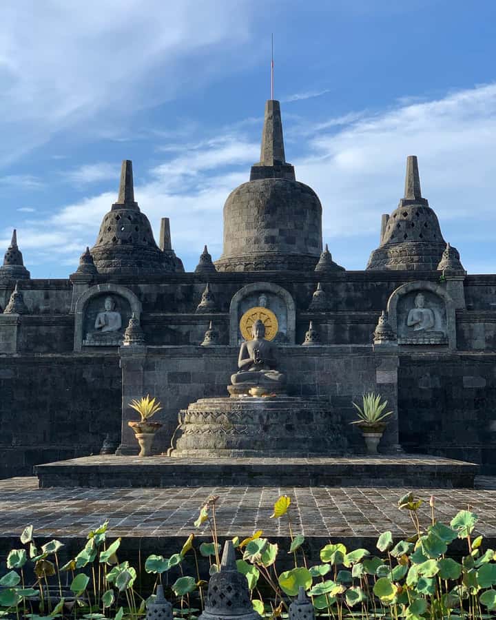 Bali: Dolphin Watching, Snorkeling, and Munduk Day Tour - Who This Tour Fits Best, and Who Should Skip It