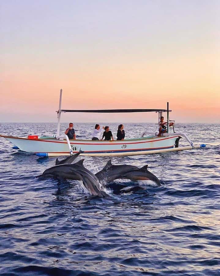 Bali: Dolphin Watching, Snorkeling, and Munduk Day Tour - Snorkeling Near Dolphins: The Best-Case Moment and the Backup Plan