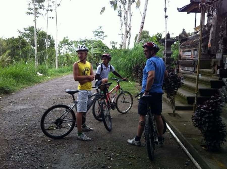 Bali Downhill Cultural Cycling Tour - Downhill Cycling From Kintamani: The Day’s Core Idea