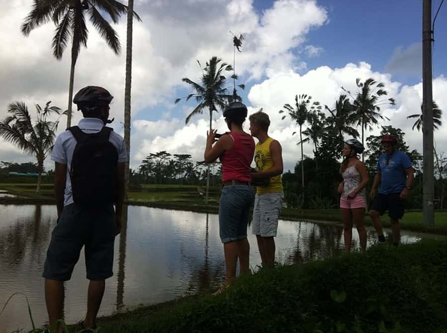 Bali Downhill Cultural Cycling Tour - Entering a Priest Compound: Family Conversation Over Coffee