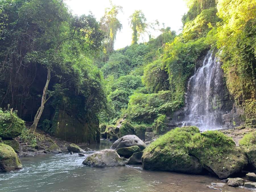 Bali: East Bali Day Trip with Temesi Waterfall - The Drive Through Rice Fields, What It Gives You, and When It’s Worth Noting