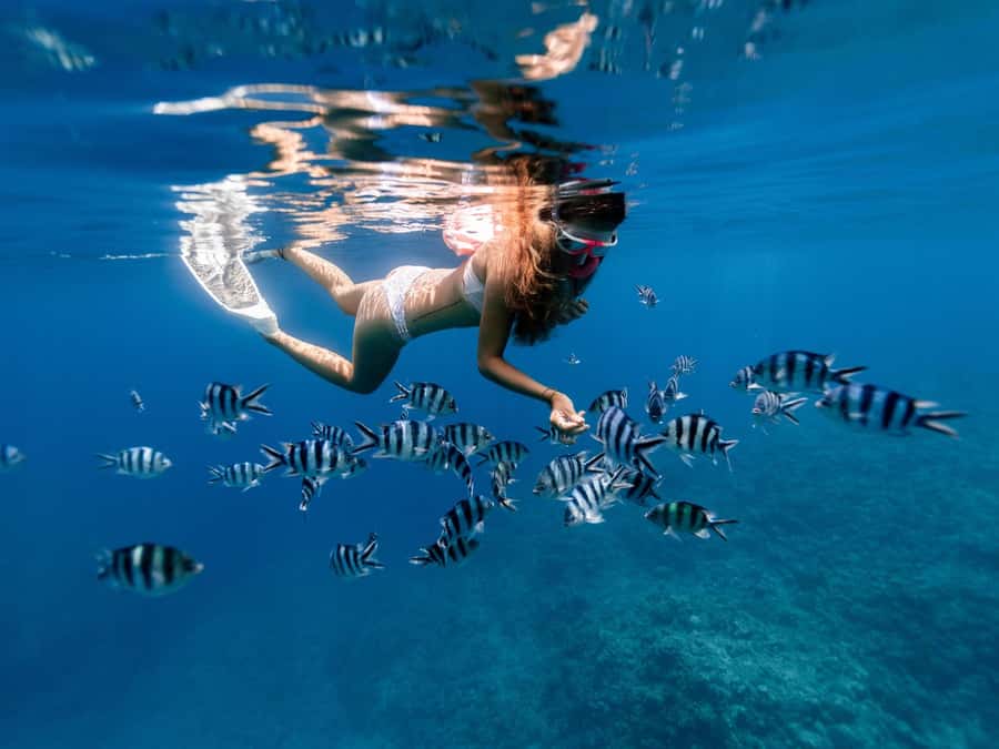 Bali: East Bali Hidden Gems. Exotic Beaches & Waterfalls. - Blue Lagoon Beach snorkeling: 2.5 hours of sea time, not a tick-box