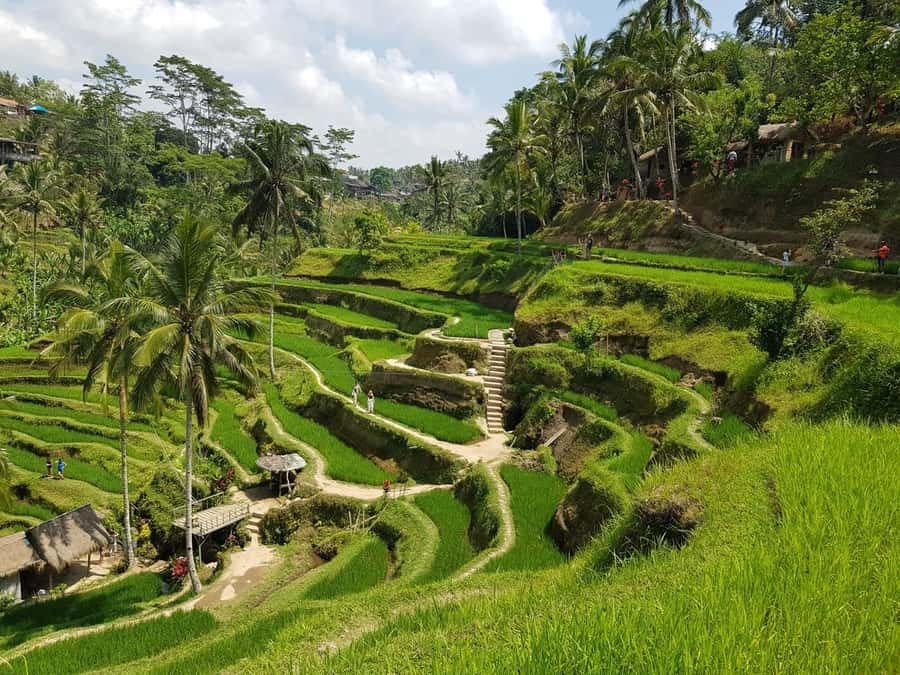 Bali Eat, Pray and Love Experience - Tampak Siring: photos and a key cultural stop in the middle of the day