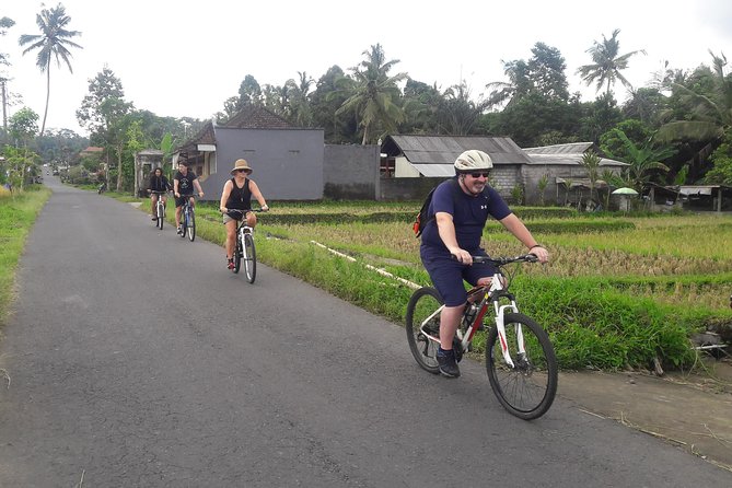 Bali Eco & Educational Cycling Tour - Coffee Break and Balinese Lunch, Not Just Snacks