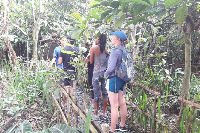 Bali Eco & Educational Cycling Tour - Family-Friendly Safety With Baby Bike Seats