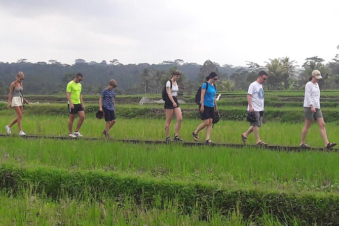 Bali Eco & Educational Cycling Tour - Small Group Size Makes the Day Feel Easier