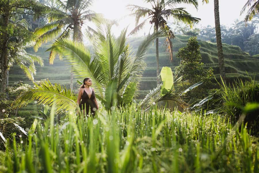 Bali : Explore Beauty of Ubud with 3 Best Tour Options - Entering The Ubud Art and Culture day: Tegenungan, Palace, Market, Tegalalang, Tirta Empul