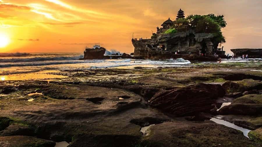 Bali : Explore Beauty of Ubud with 3 Best Tour Options - Wellness and Spiritual Retreat option: Taman Beji Griya, Sangeh Monkey Forest, and Tanah Lot sunset