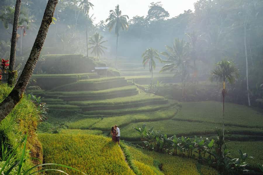 Bali : Explore Beauty of Ubud with 3 Best Tour Options - Who should book this Ubud private tour?