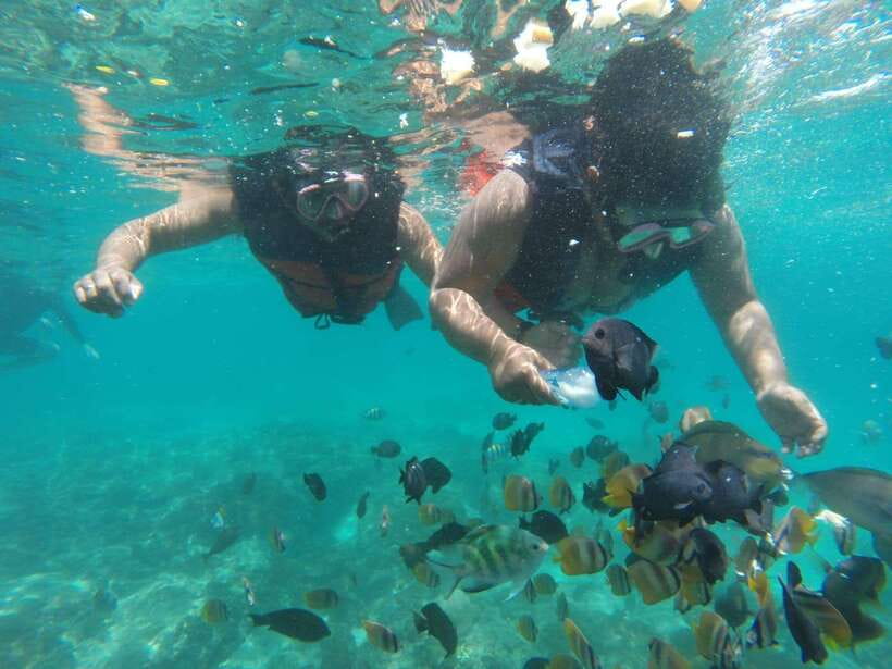 Bali : Fishing Trip & Blue lagoon Snorkeling : All Inclusive - Who This Bali Tour Best Suits (and Who Should Skip It)