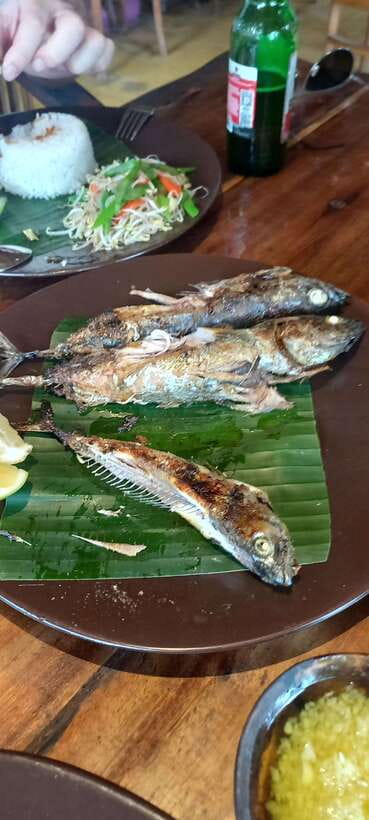 Bali : Fishing Trip & Blue lagoon Snorkeling : All Inclusive - What to Bring So You Stay Comfortable on the Water
