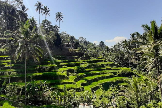Bali Fishing Trip Private Boat - Price and value: $75 per person for a private boat day
