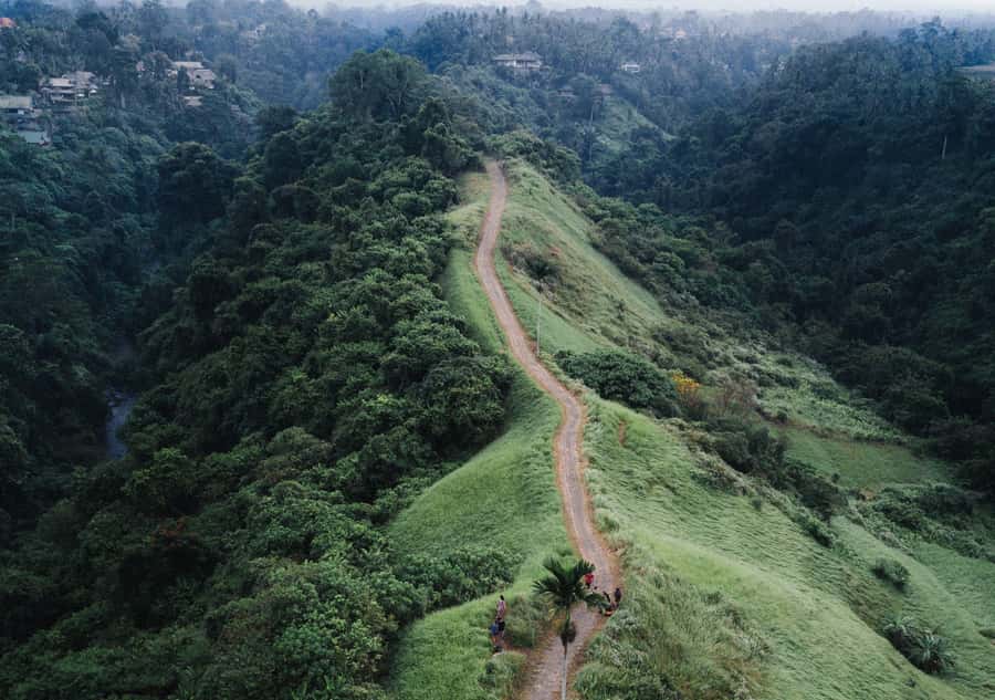 Bali: Full-Day Eat Pray Love Tour with Rice Terraces & Yoga - My honest take: book this if you want calm with real Bali contact