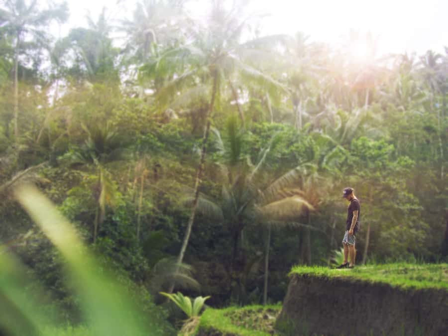 Bali: Full-Day Eat Pray Love Tour with Rice Terraces & Yoga - A true Bali reset day, built around calm and meaning