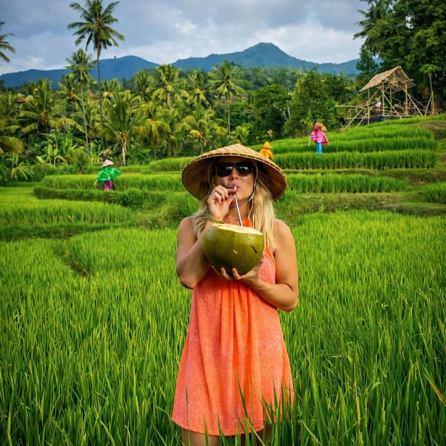 Bali: Full Day North Bali Private Customized Tour - North Bali: why this quieter region feels different