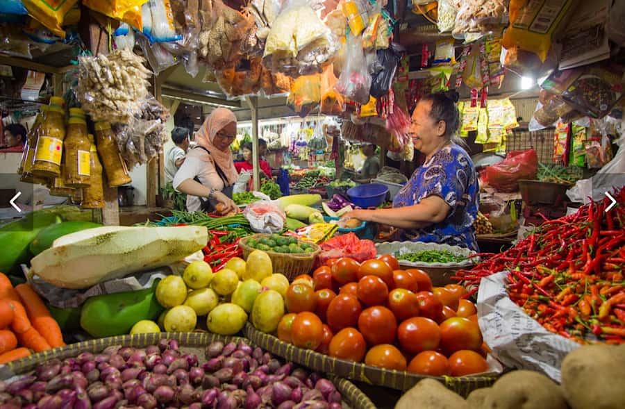 Bali: Full Day North Bali Private Customized Tour - Stop by stop: what each highlight is for (and what to watch)